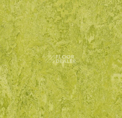 Линолеум Forbo Marmoleum Marbled Real 3224 / 322435 Chartreuse фото 1 | FLOORDEALER